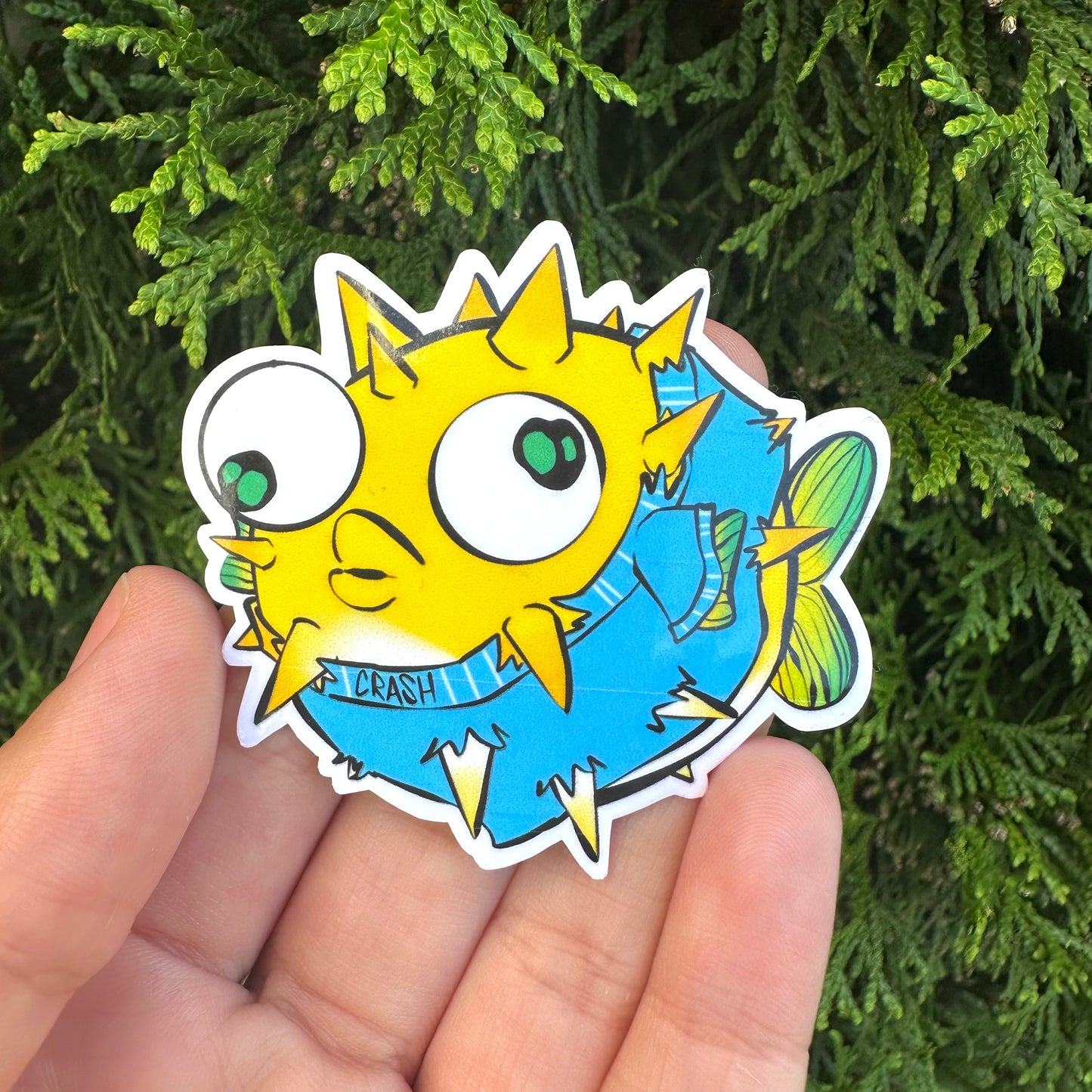 Puffer fish